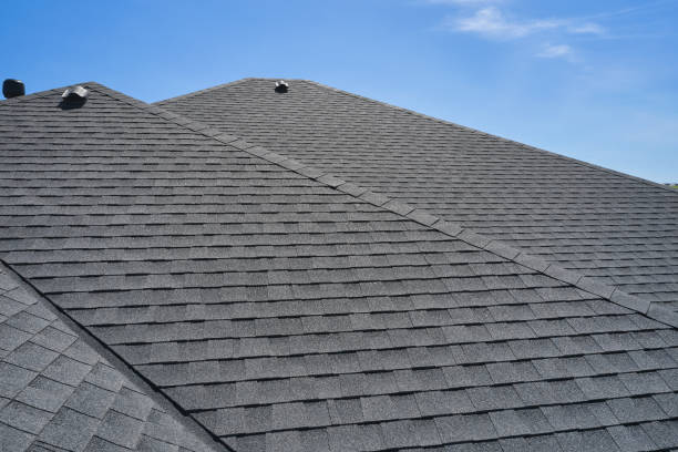 Best Roof Coating and Sealing  in Bonanza, GA